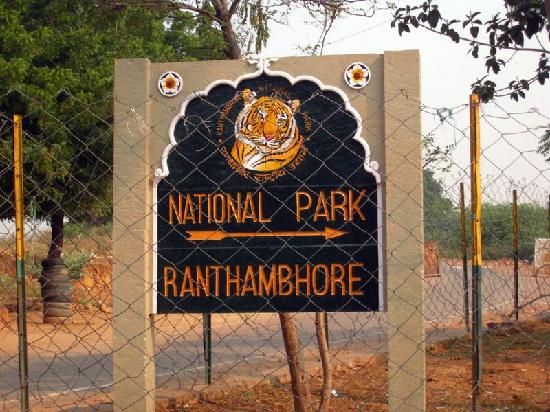 Ranthambore National Park - Rajasthan